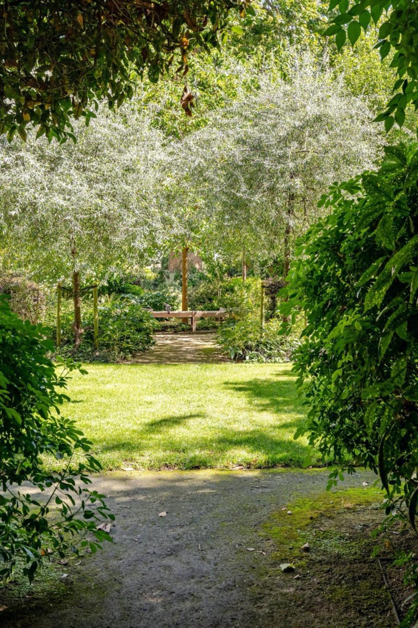 The Notting Hill Oasis